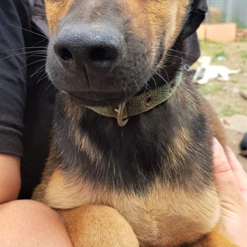 Image Lilo