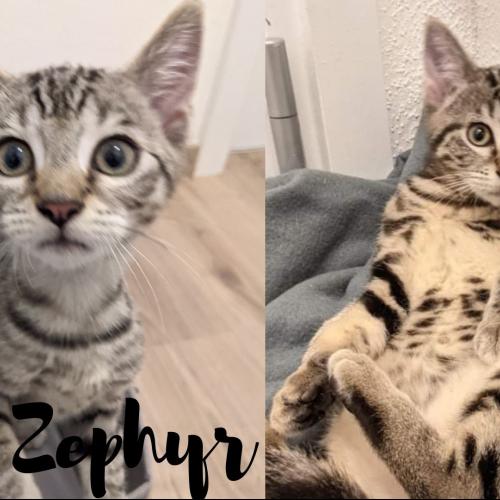 Image Eros et Zephir