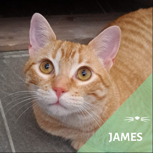 James