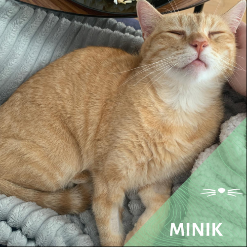 Minik