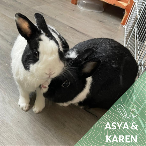 Asya et Karen