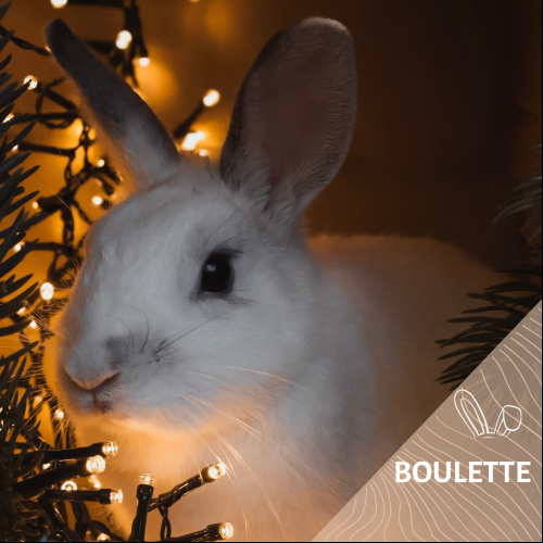 Boulette