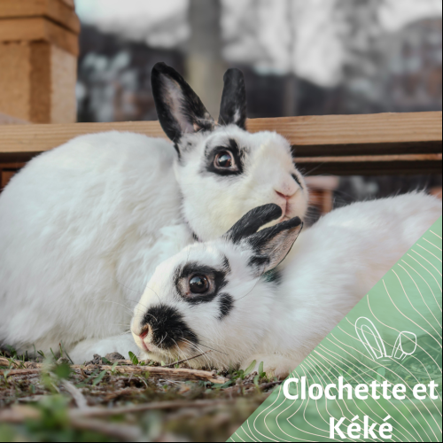 Clochette et Kéké