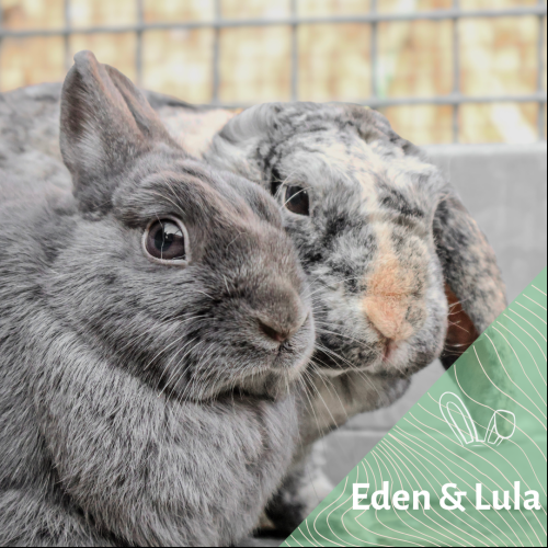 Eden et Lula