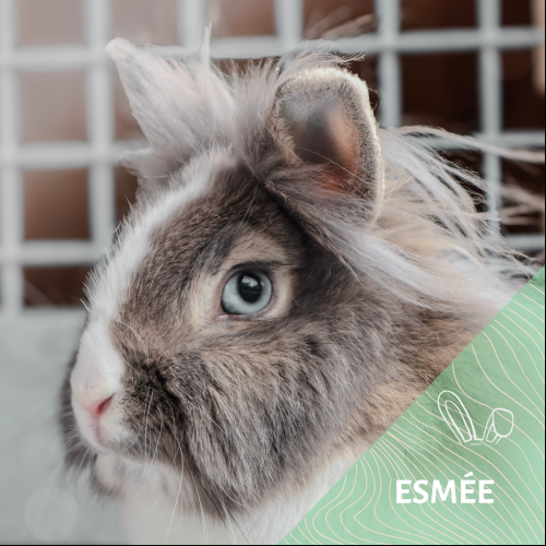 Esmée