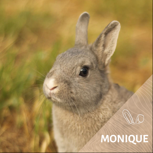 Monique