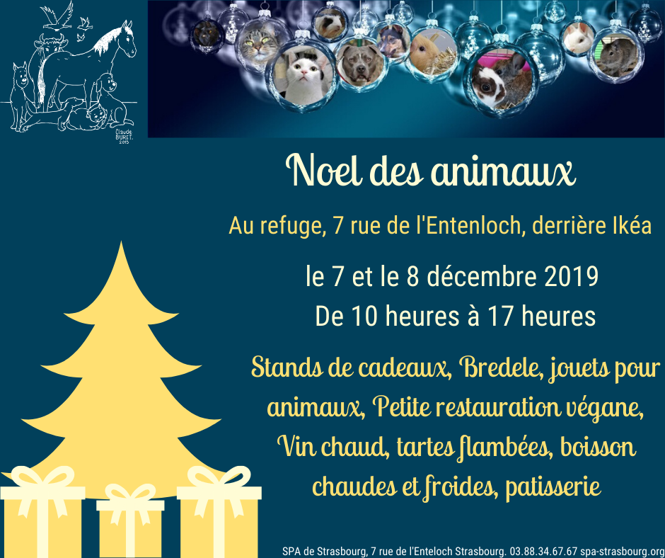 Dernière porte ouverte de l'année, le Noel des Animaux permet à nos