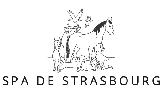 (c) Spa-strasbourg.org