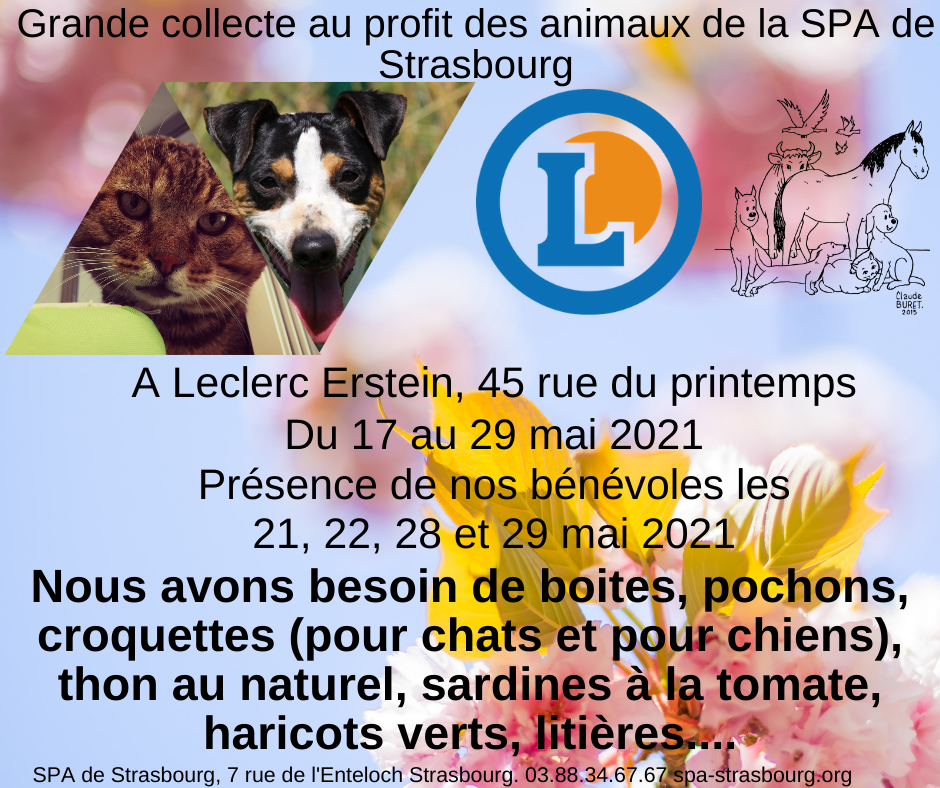 Grande Collecte Alimentaire Du 17 Au 28 Mai 21 Grande Collecte Alimentaire Du 17 Au 28 Mai 21