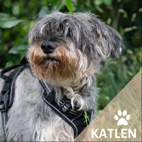Katlen