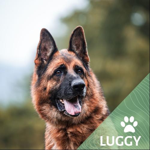 Image Luggy