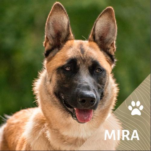 Mira