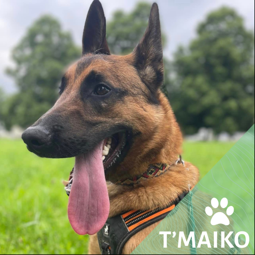 T'Maiko