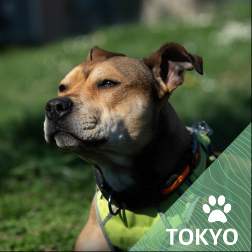 Tokyo