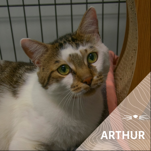 Arthur