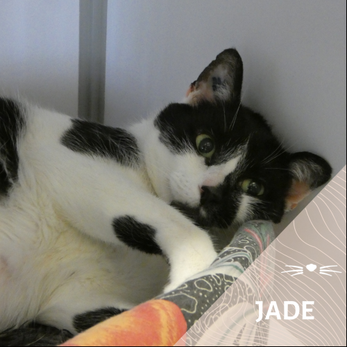 Jade