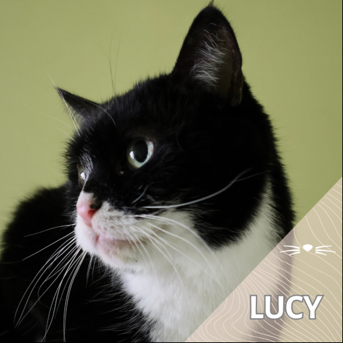 Lucy