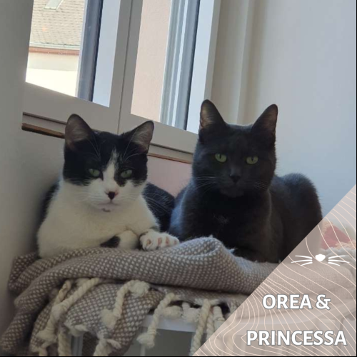 Orea & Princessa