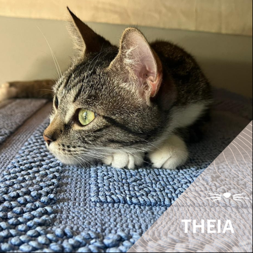 Theia