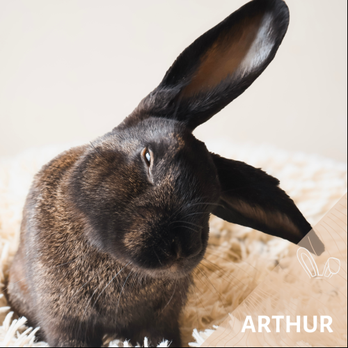 ARthur