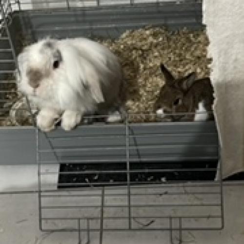 Archie et Blanca