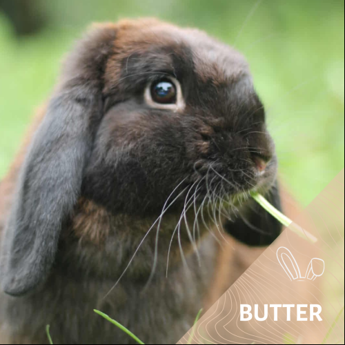 Butter