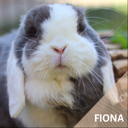 Fiona
