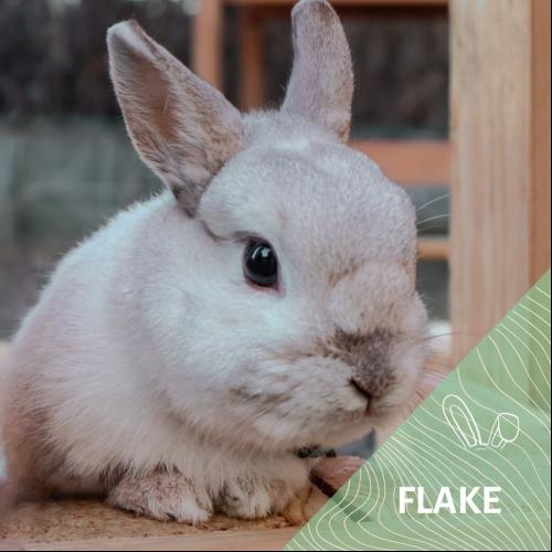 Flake