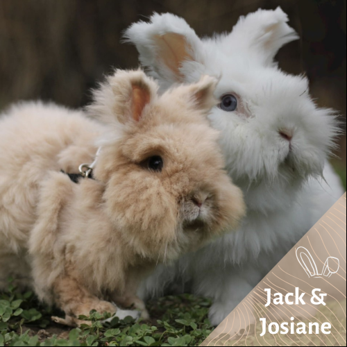 Jack et Josiane