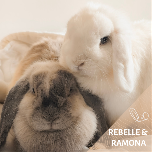 Rebelle et Ramona