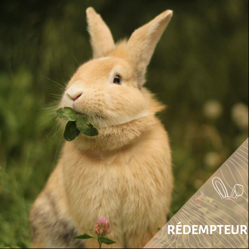 Rédempteur