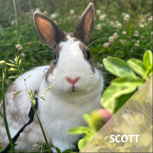 Scott