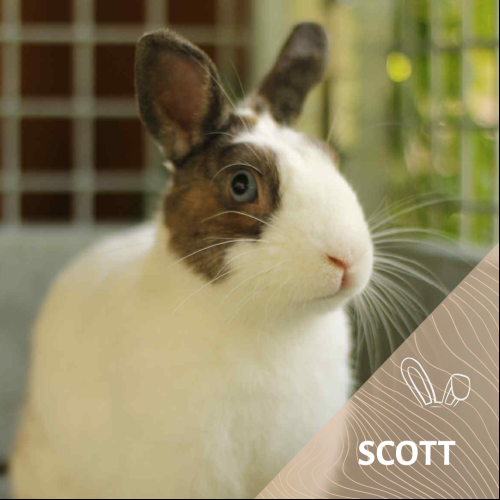 Scott