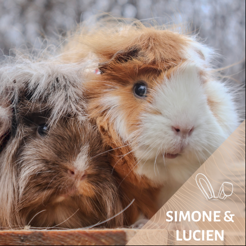 Simone et Lucien