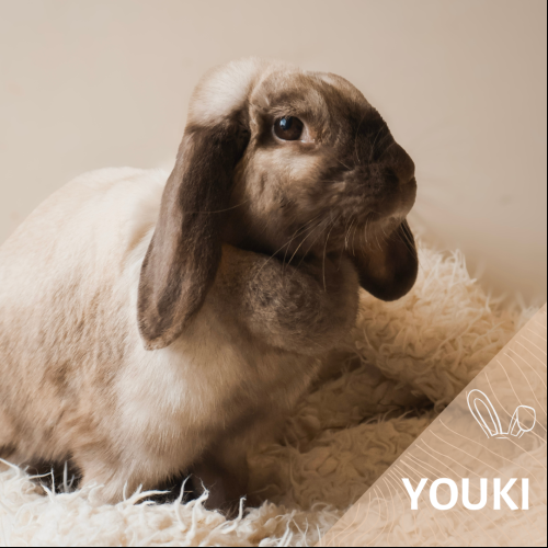 Youki