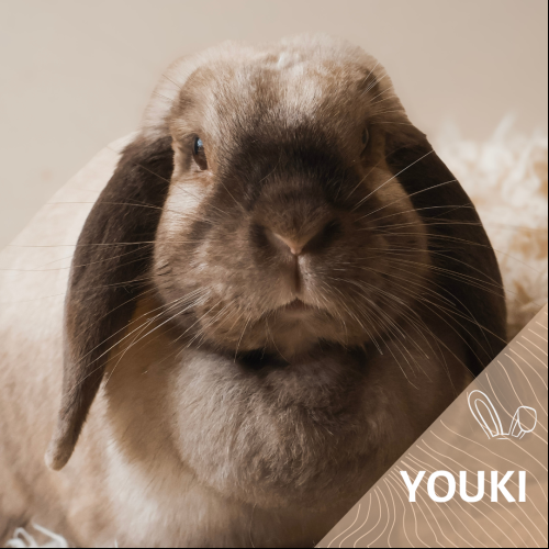 Youki