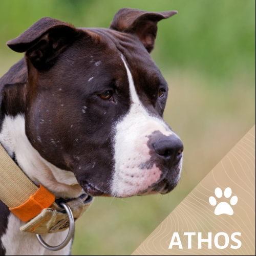 Athos