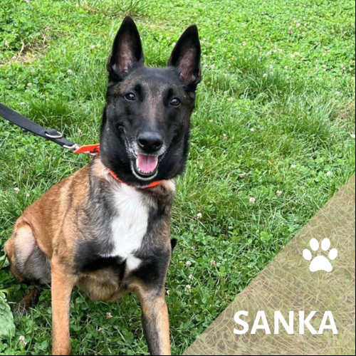 Sanka