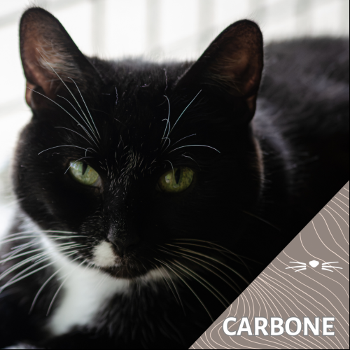 Carbone
