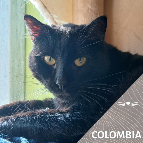 Colombia
