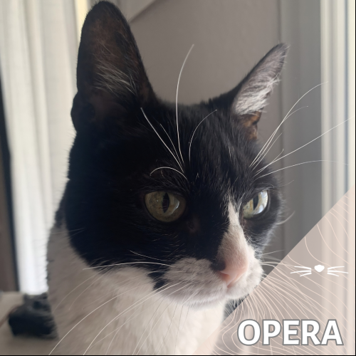 Opéra
