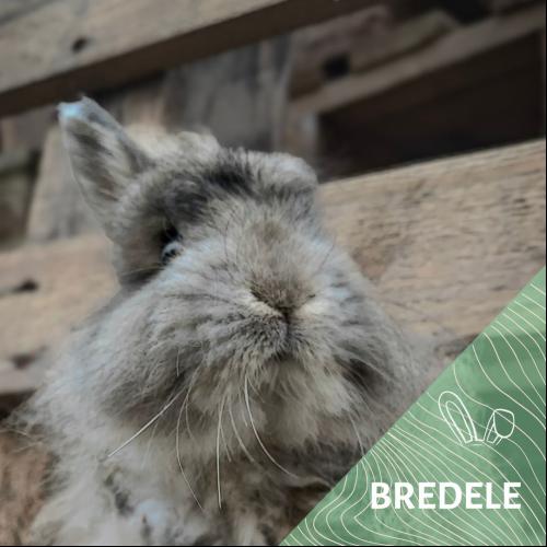Image Bredele