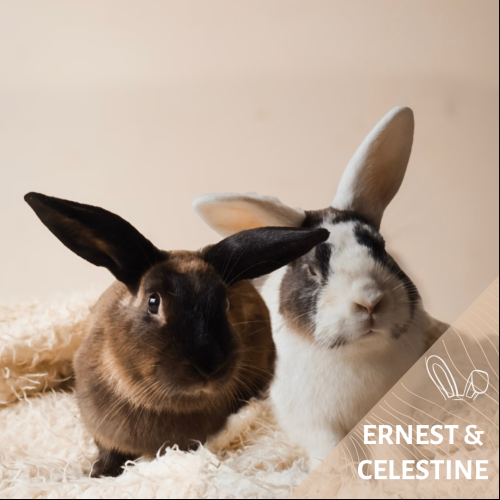 Ernest & Céléstine