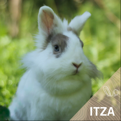 Itza